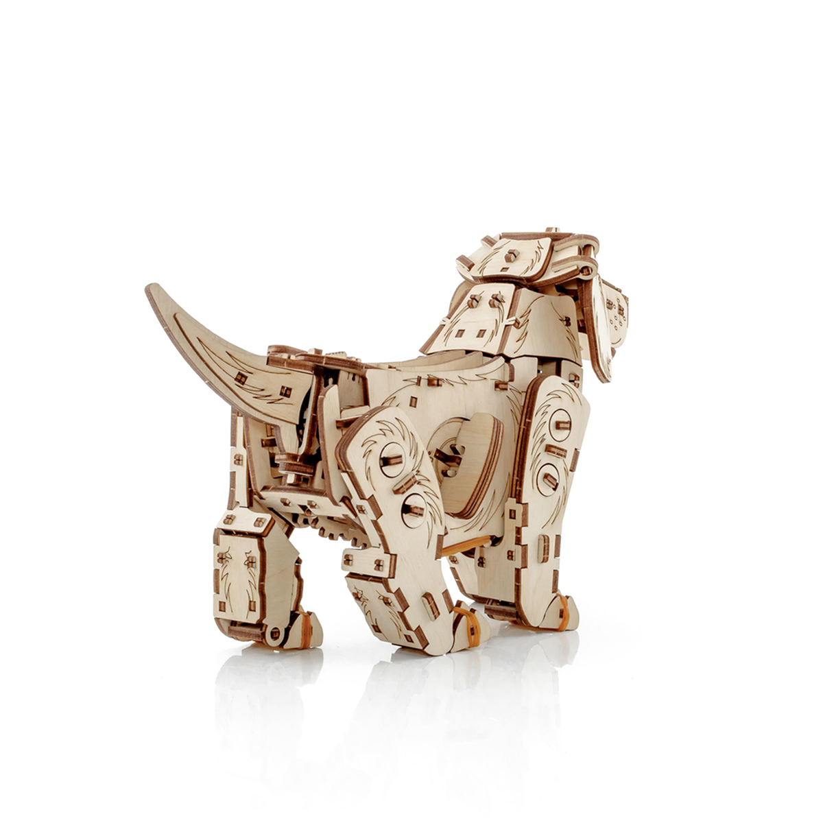 EWA - 免電力走走黑皮狗:圖片 3