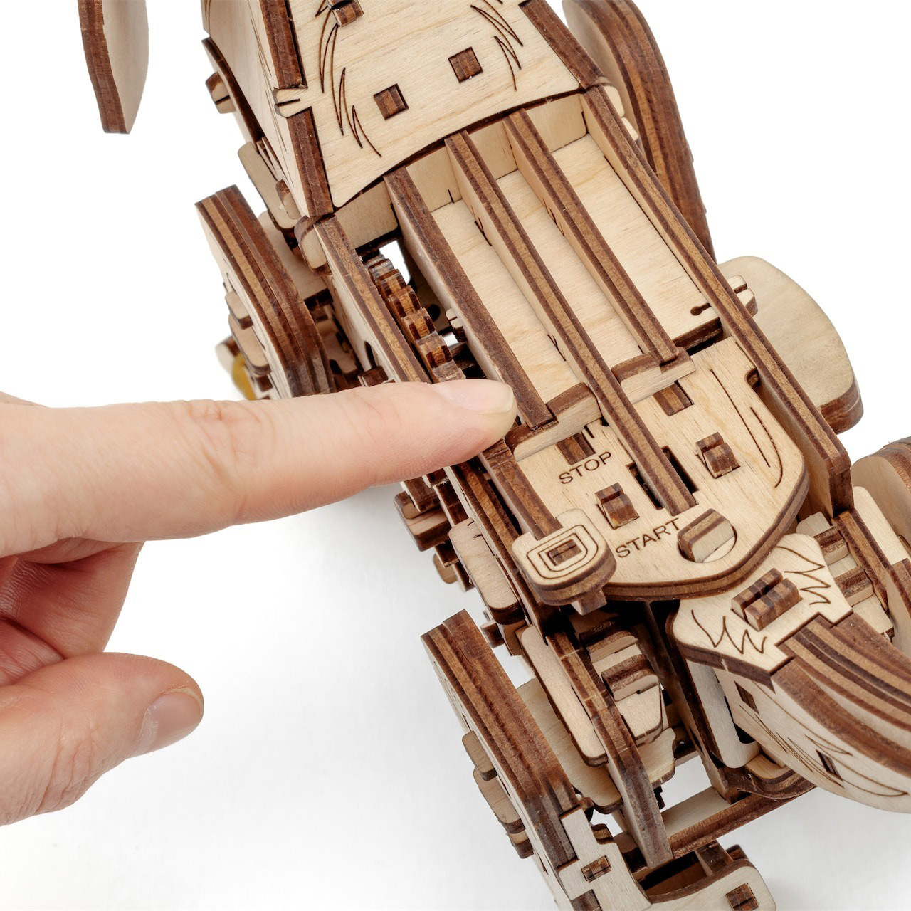 EWA - 免電力走走黑皮狗:圖片 5